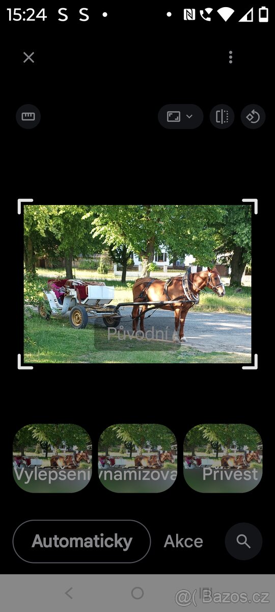 Prodám kočár za koně - 2