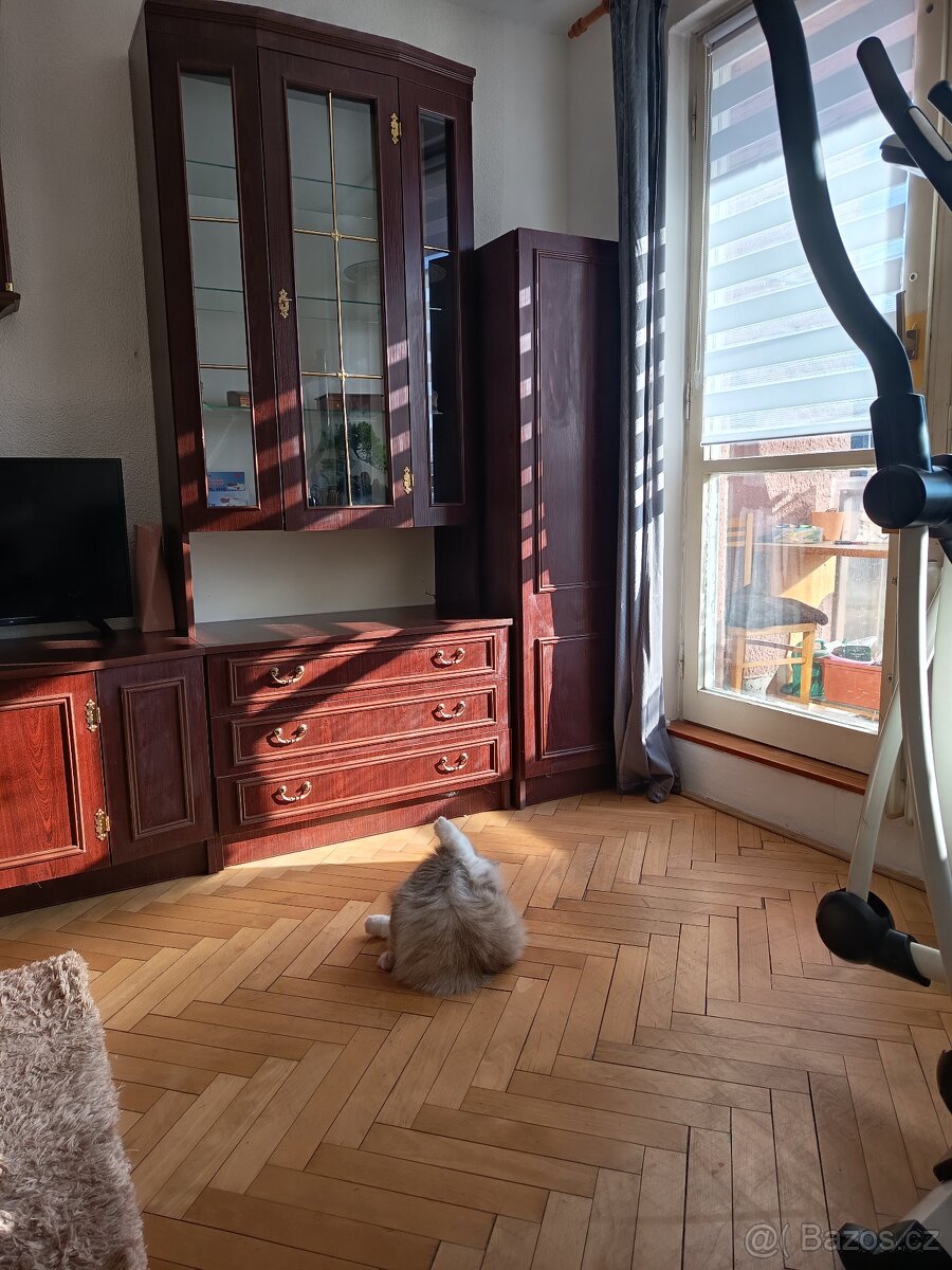 Starší obývací stěnu - 2