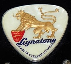 Akordeón Lignatone - 2