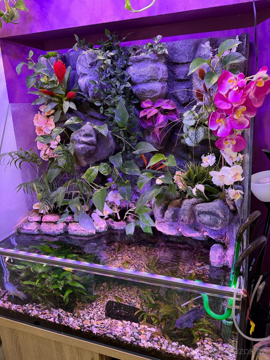 Akvarium / paludarium - 2