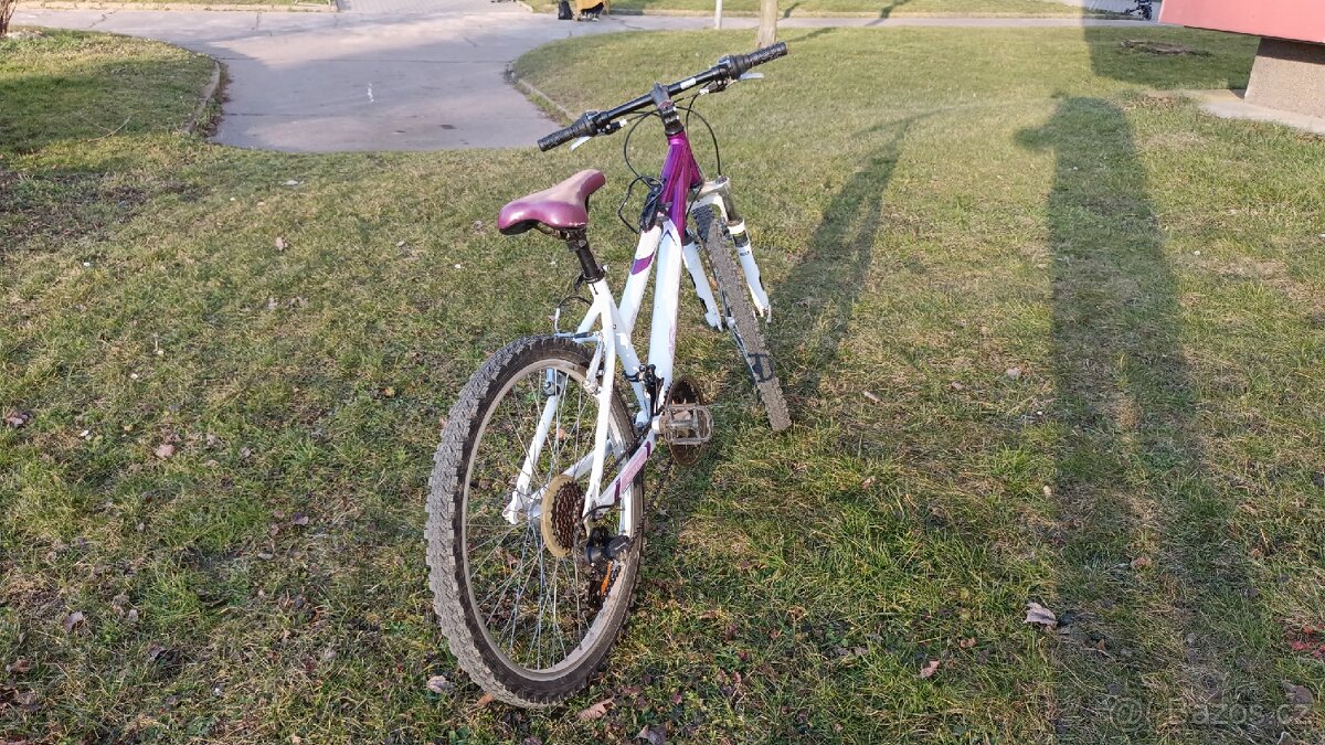 Dívčí kolo Zn. Arcore Violette 14" - 2