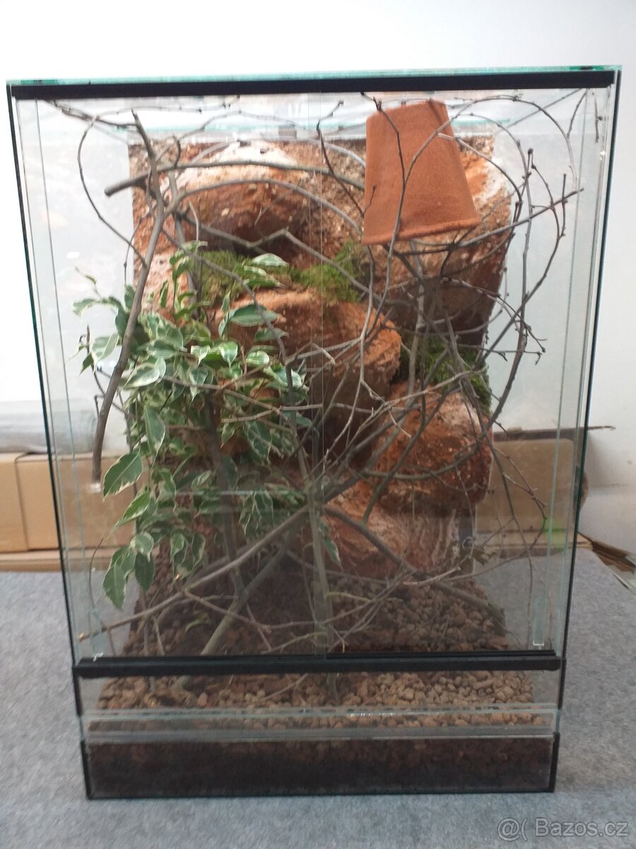 kompletní terária pro chameleóny - 2