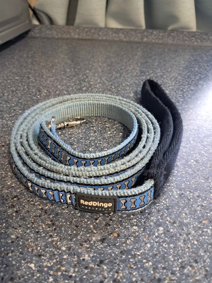 Sada pro štěně nebo menšího psa - 2