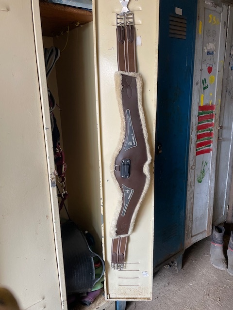 anatomický podbřišník Acavallo s beránkem - 2