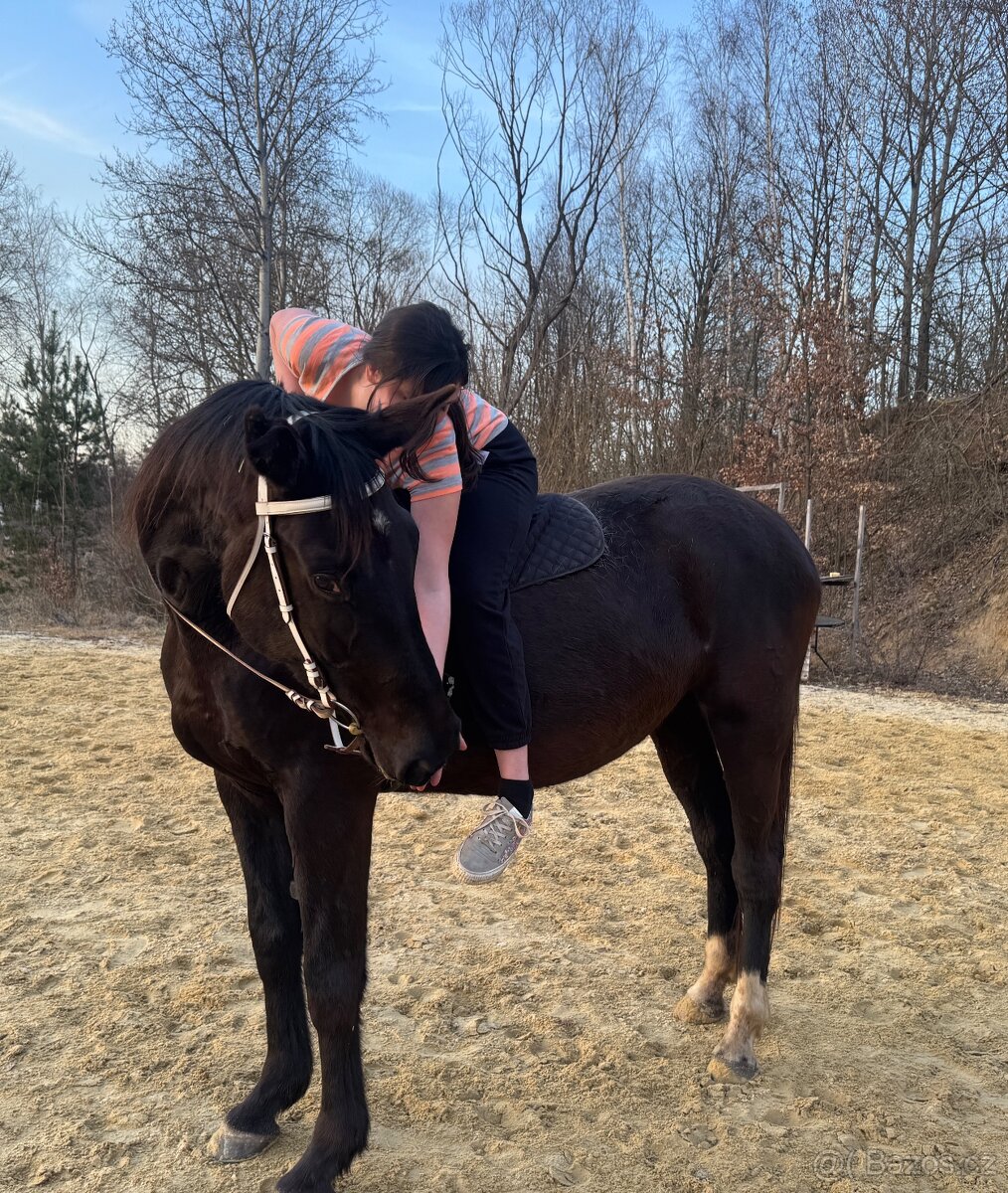 Kobyla CT - 2