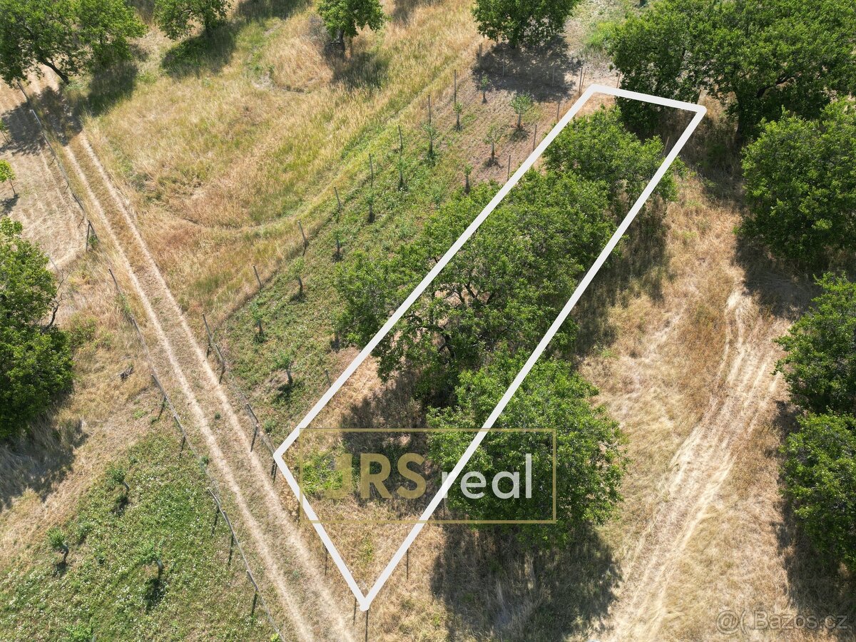 Prodej sadu 358 m², Němčičky, ev.č. 130114LS - 2
