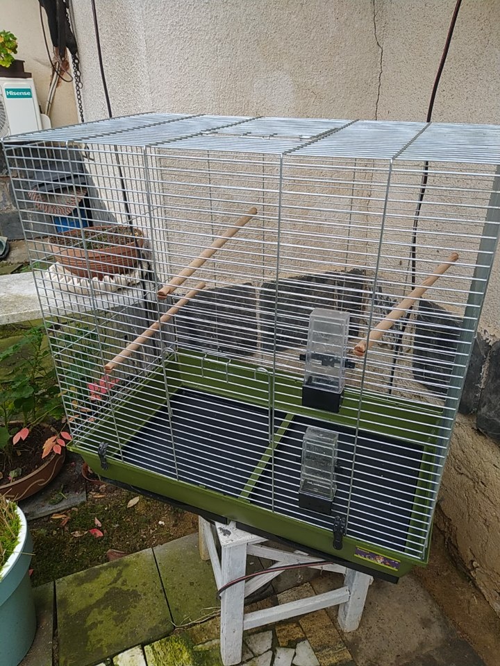 VELKÁ KLEC NA PTAKY - 2