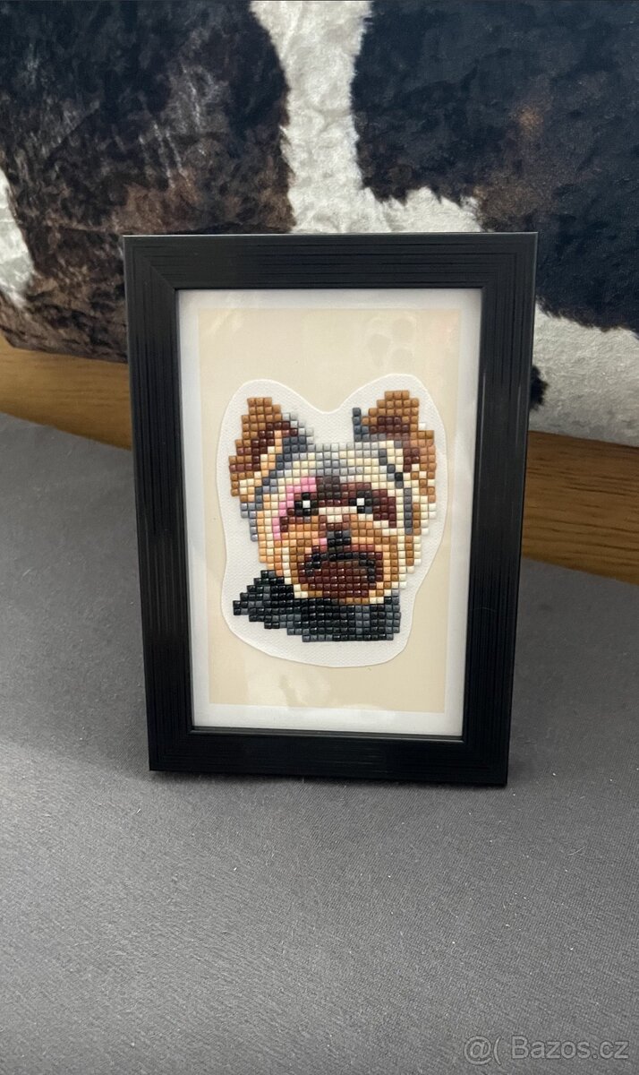 Obrázek rotvajlera/ jorkšíra/ buldočka - 2