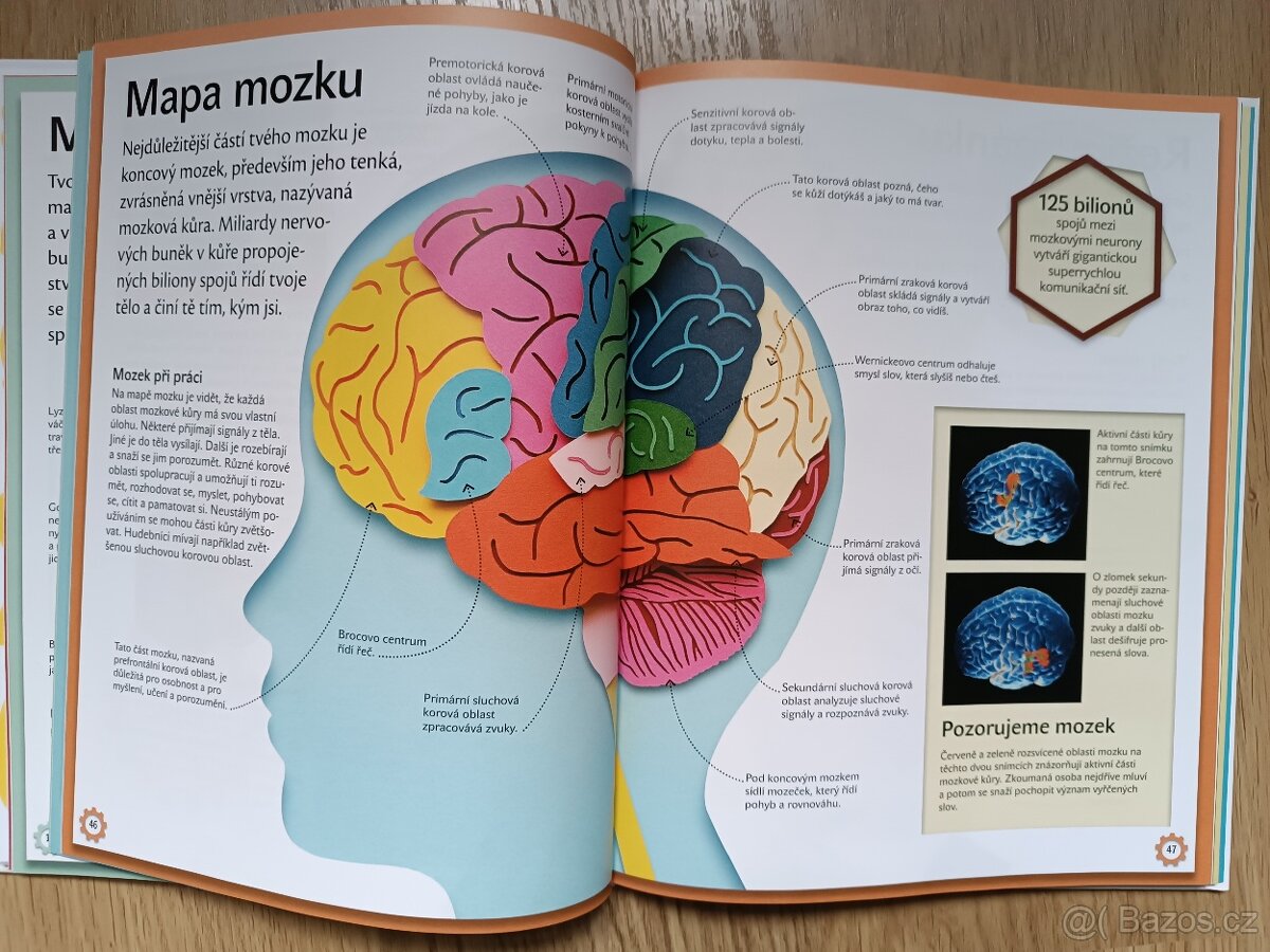 Úžasný stroj LIDSKÉ TĚLO - 2