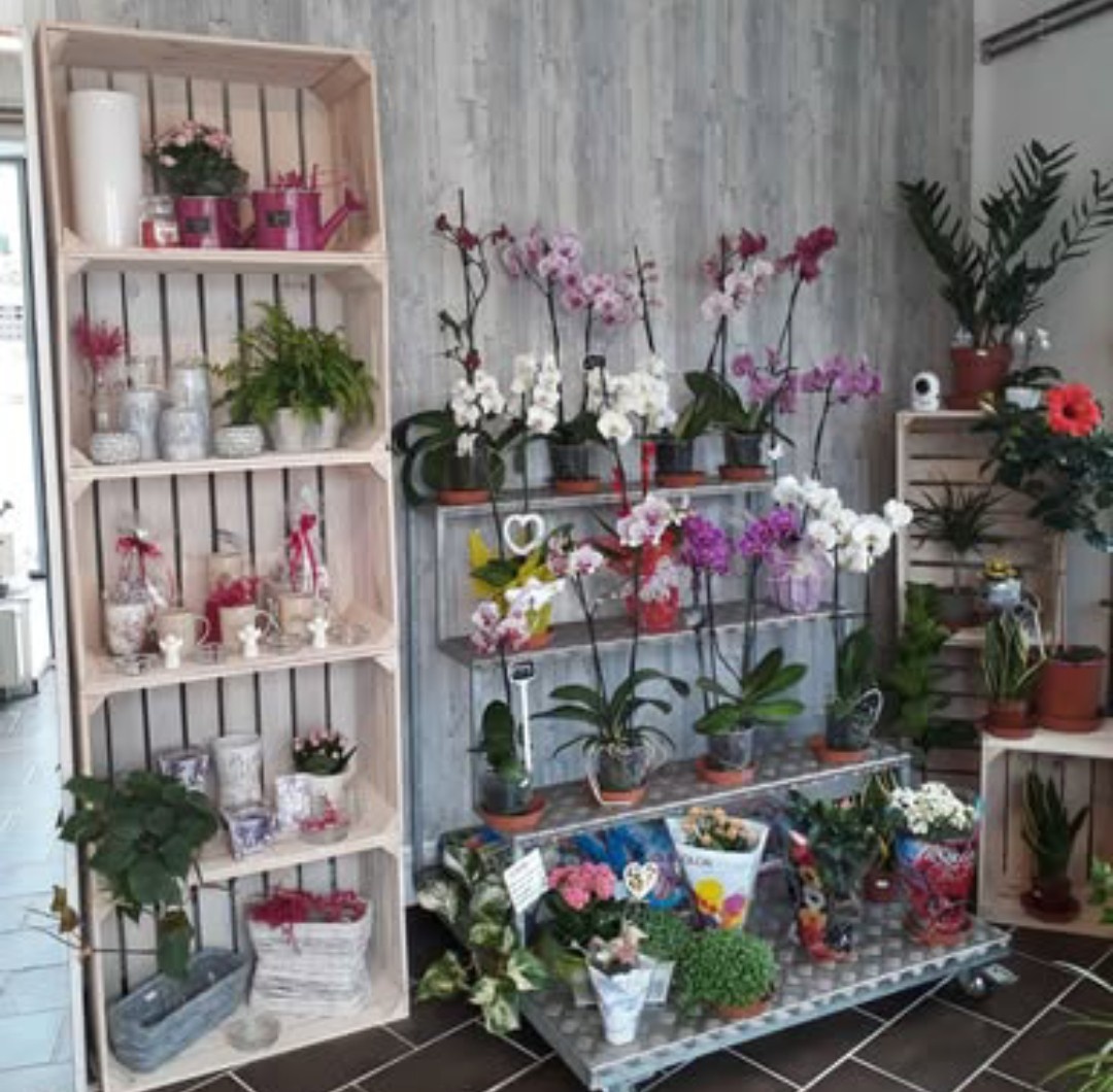 Nerezové stojany - 2