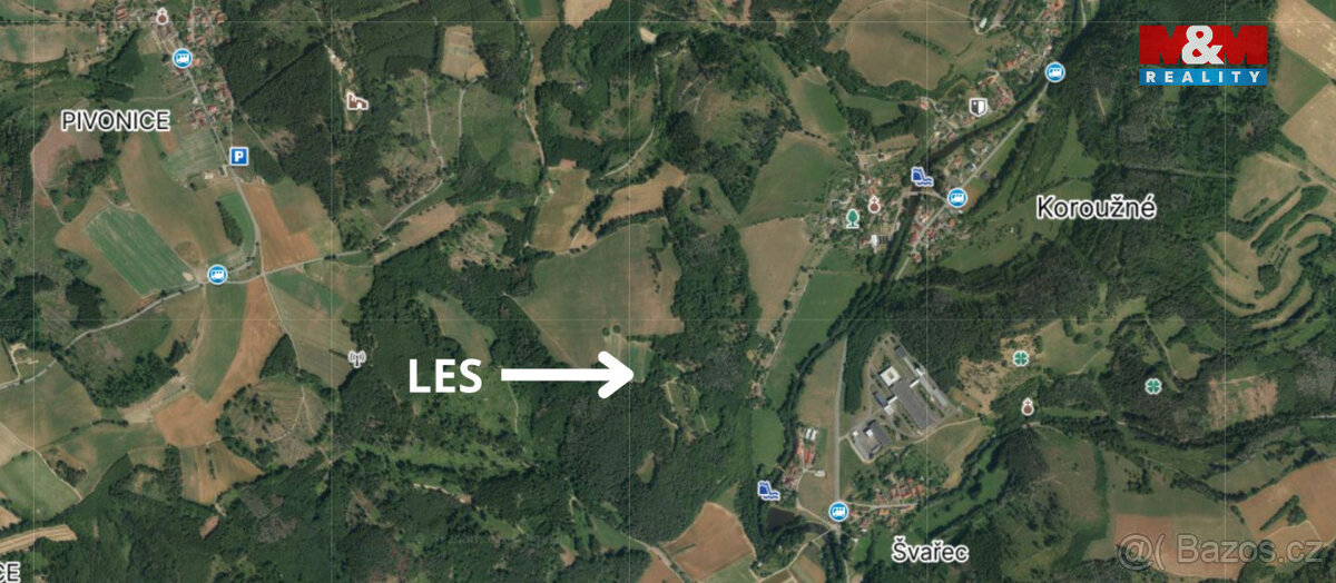 Prodej lesa v Koroužném - 2