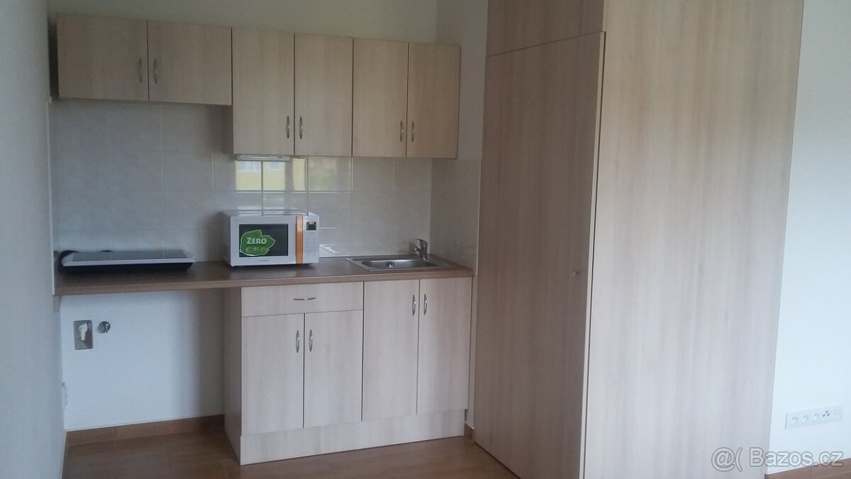 NOVÉ BYTY 1+KK,BEZ KAUCE,POUZE PRO 100%NEKUŘÁKY,PARKOVIŠTĚ - 2