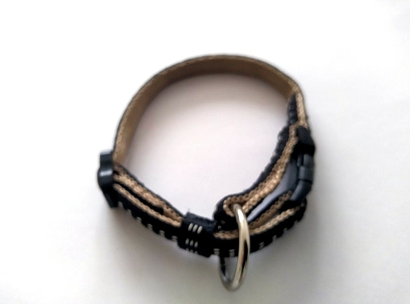 Potřeby pro psa - 2