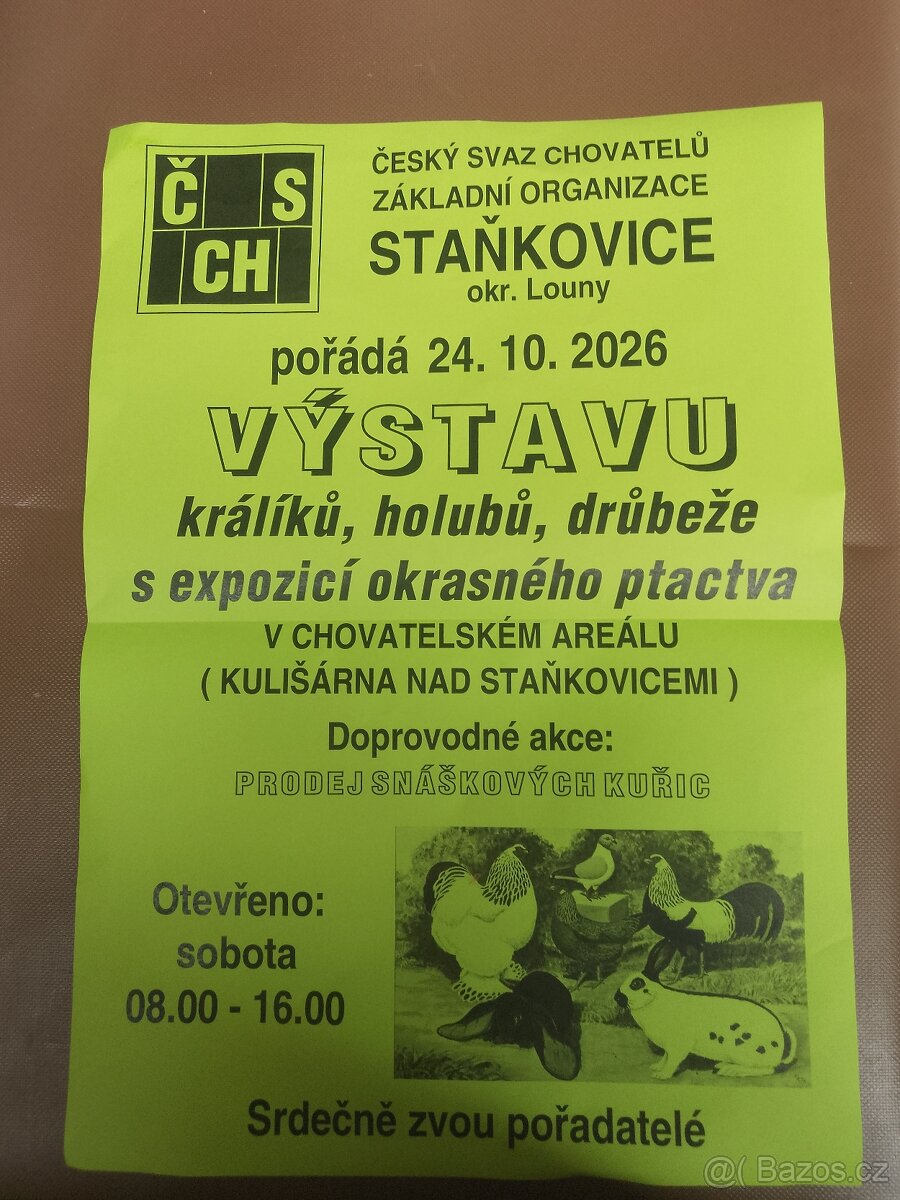 Výstava - 2