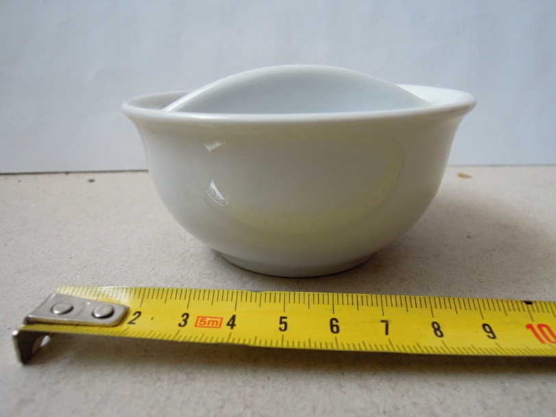 Slánka cibulák - 2