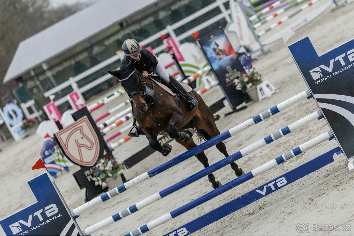 Valach do sportu - 2