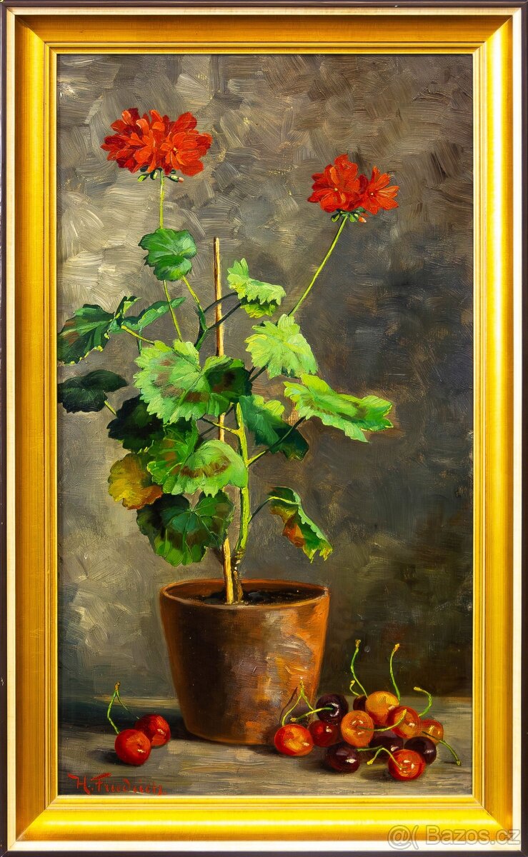 Zátiší s muškáty, H.Friedrich, 375 × 615 mm - 2