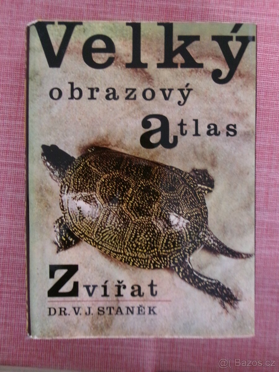 Velký obrazový atlas zvířat, ryb, rostlin, dopravy - 2