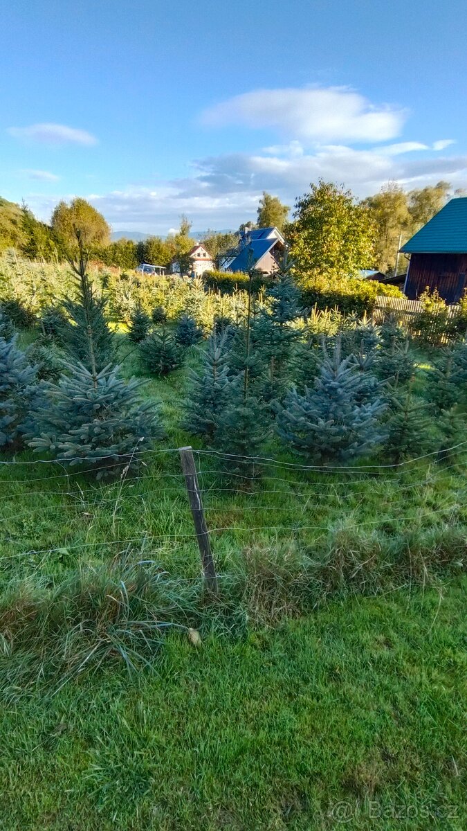 Vanoční stromek - 2