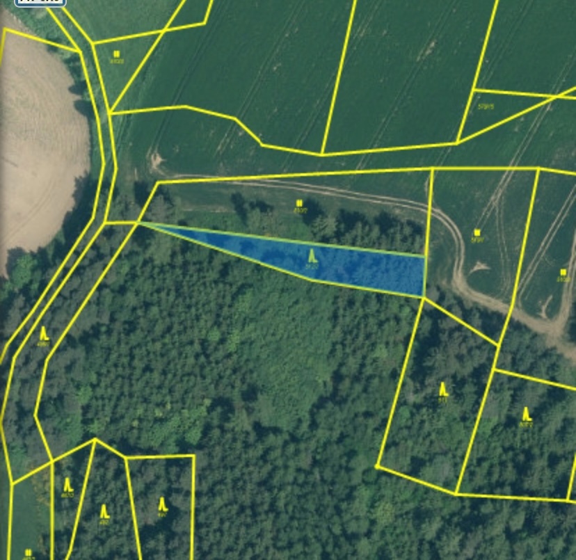 Prodám lesní pozemek Čepřovice - 2