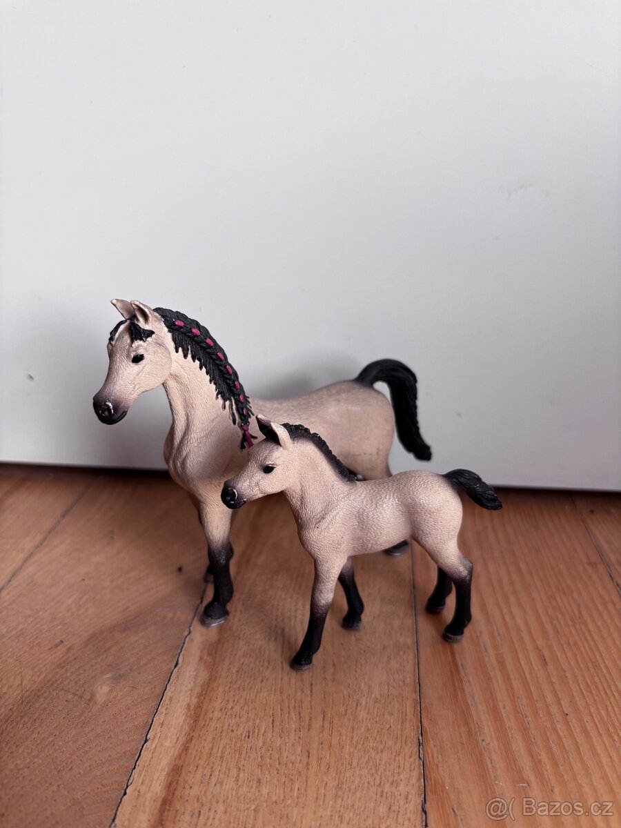 Sada Schleich - 2
