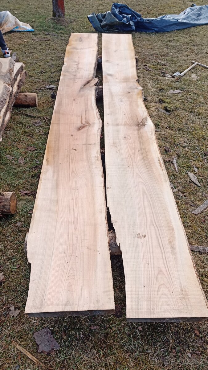 Fošny třešeň - 2