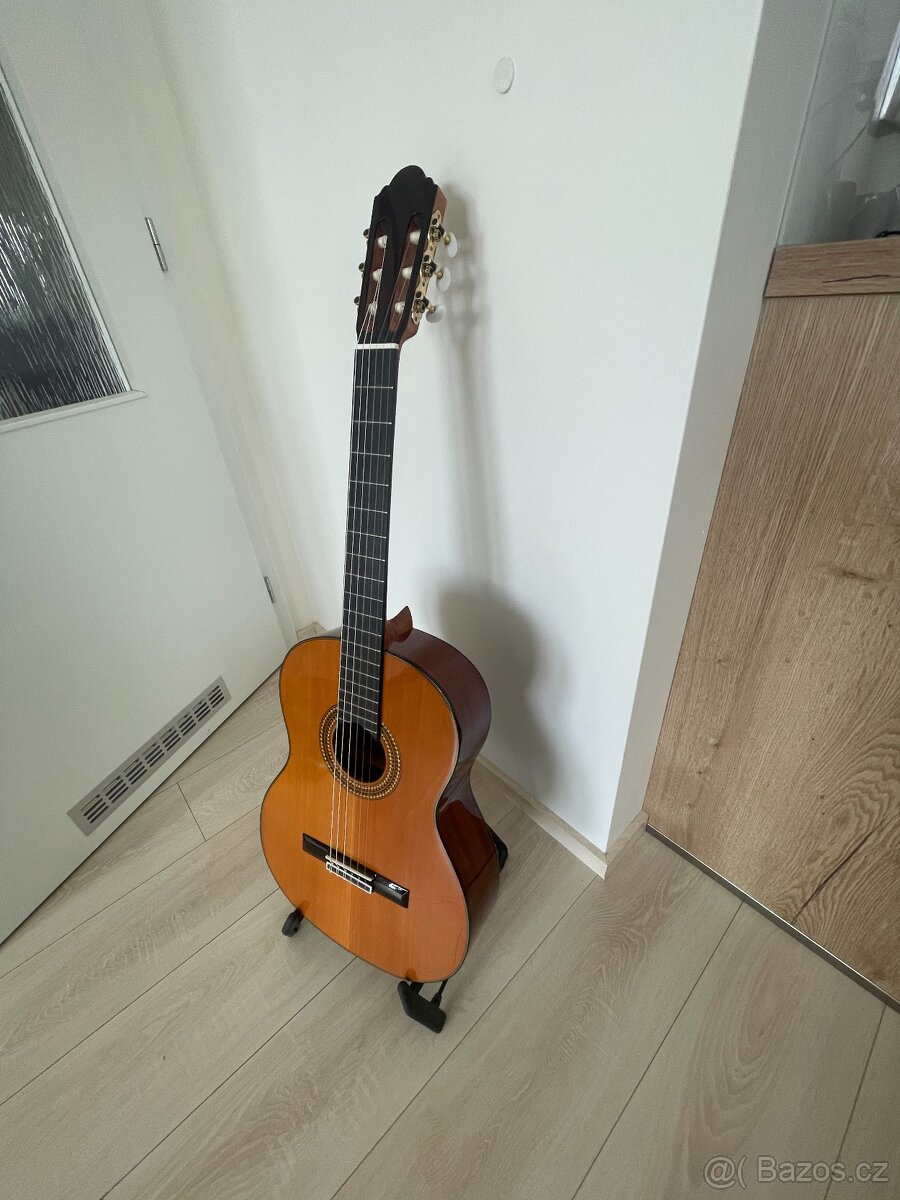 Kytara Pablo Vitaso VCG-40C - 2