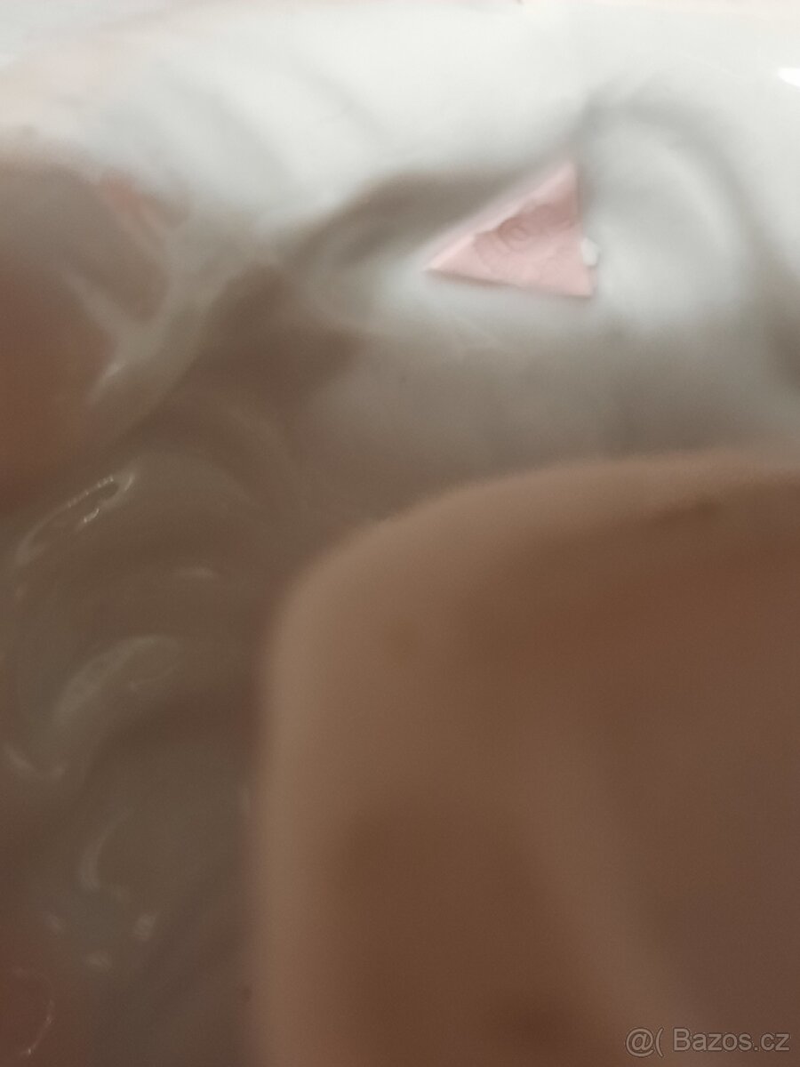 Velký lední medvěd - 2