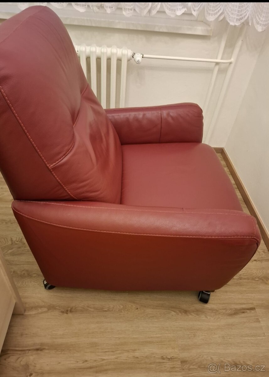 Křeslo z kůže - 2