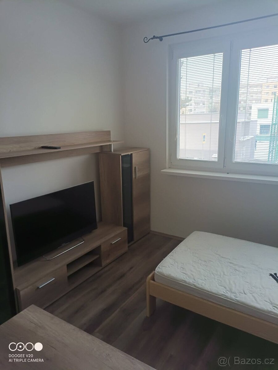 Pronájem pokoje pro jednu osobu v bytě 2+1 - 2