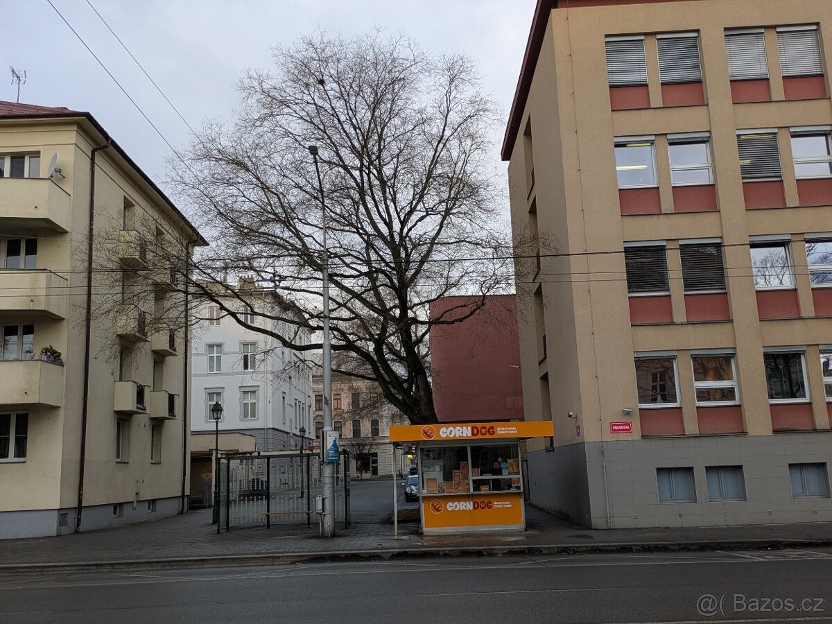 Pronájem stánku - Prásková ulice - 2