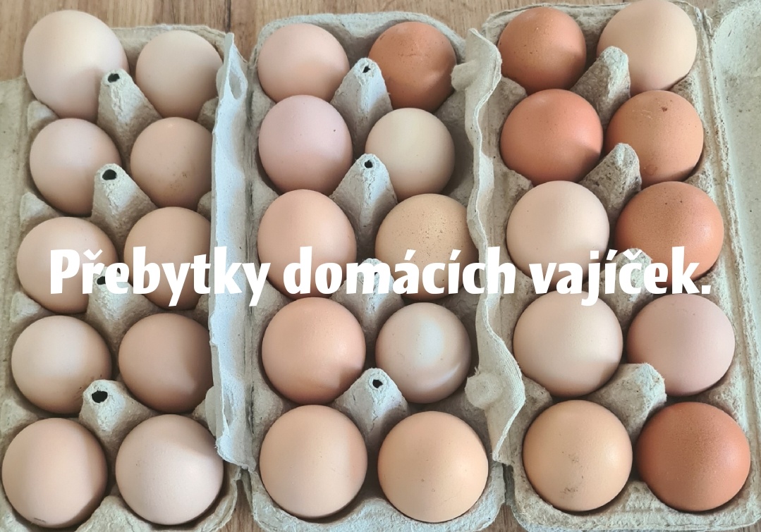 Domácí vajíčka - 2