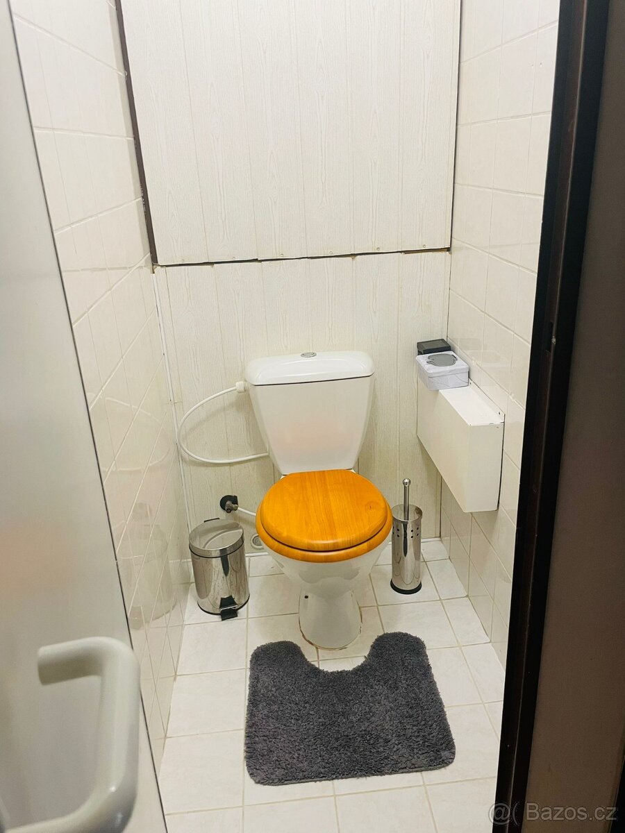 Pronájem bytu 3+1 v Bechyni - 2