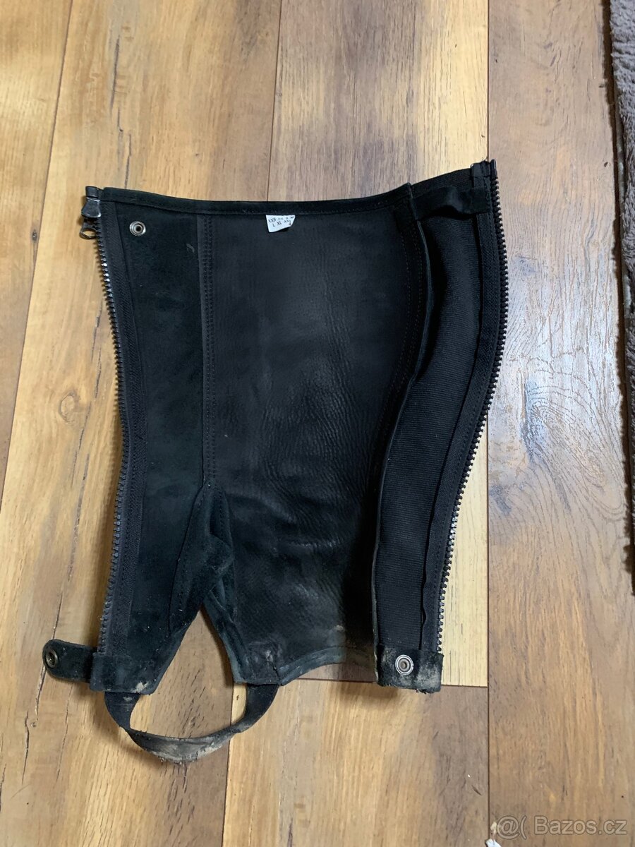 Anglické chapsy kentaur - 2