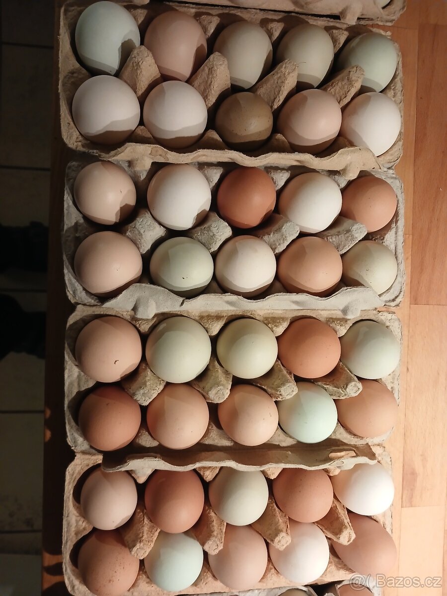 Násadová vejce - 2