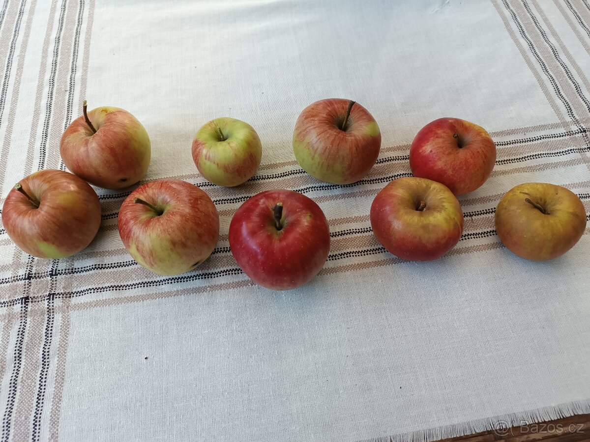 Jablka bez chemického ošetření, trhaná - 2