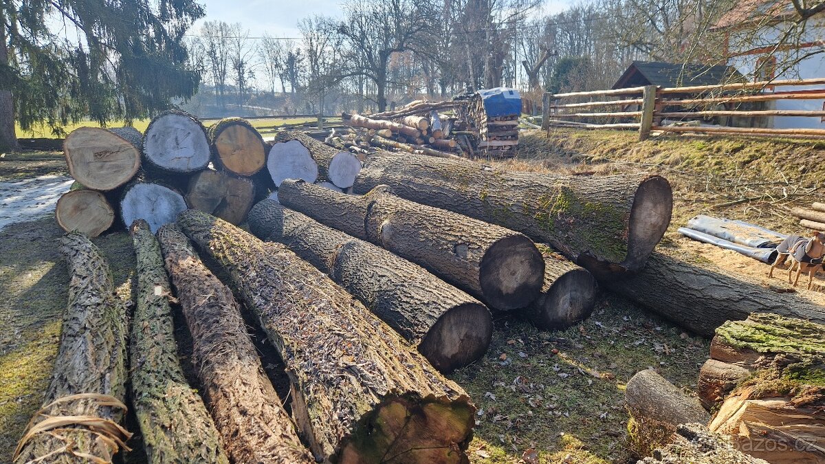 Dubová kulatina - 2