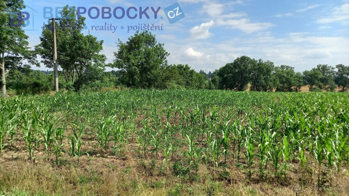 Prodej pozemků v obci Termesivy - 2