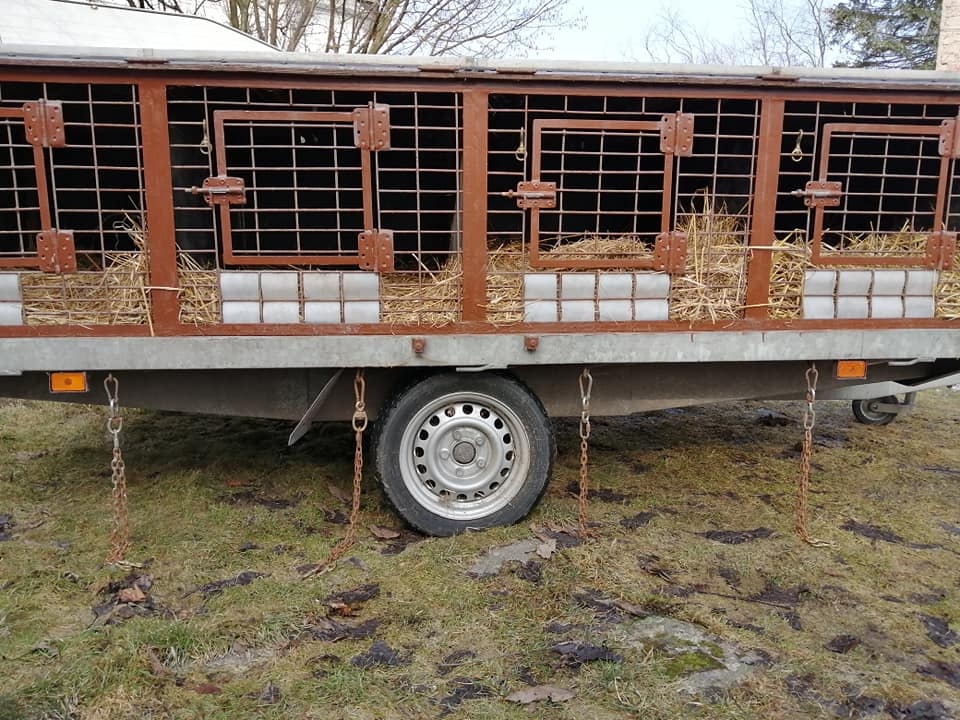 Přepravní vozík na psy - 2