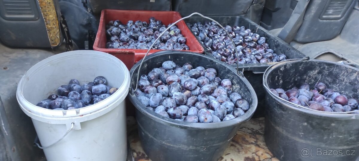 Domácí slivovice - 2