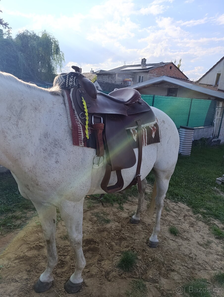 Westernové sedlo - 2