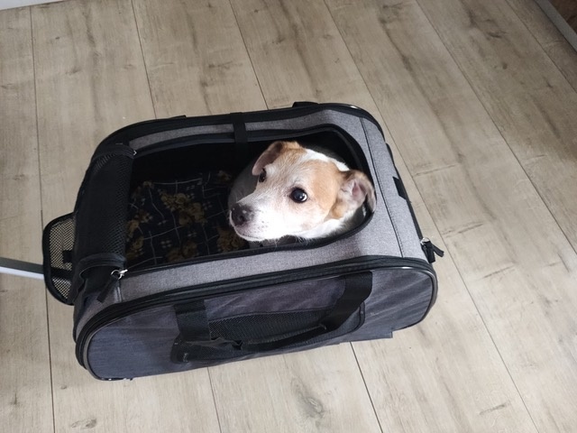 Trixie vozík na kolečkách - 2