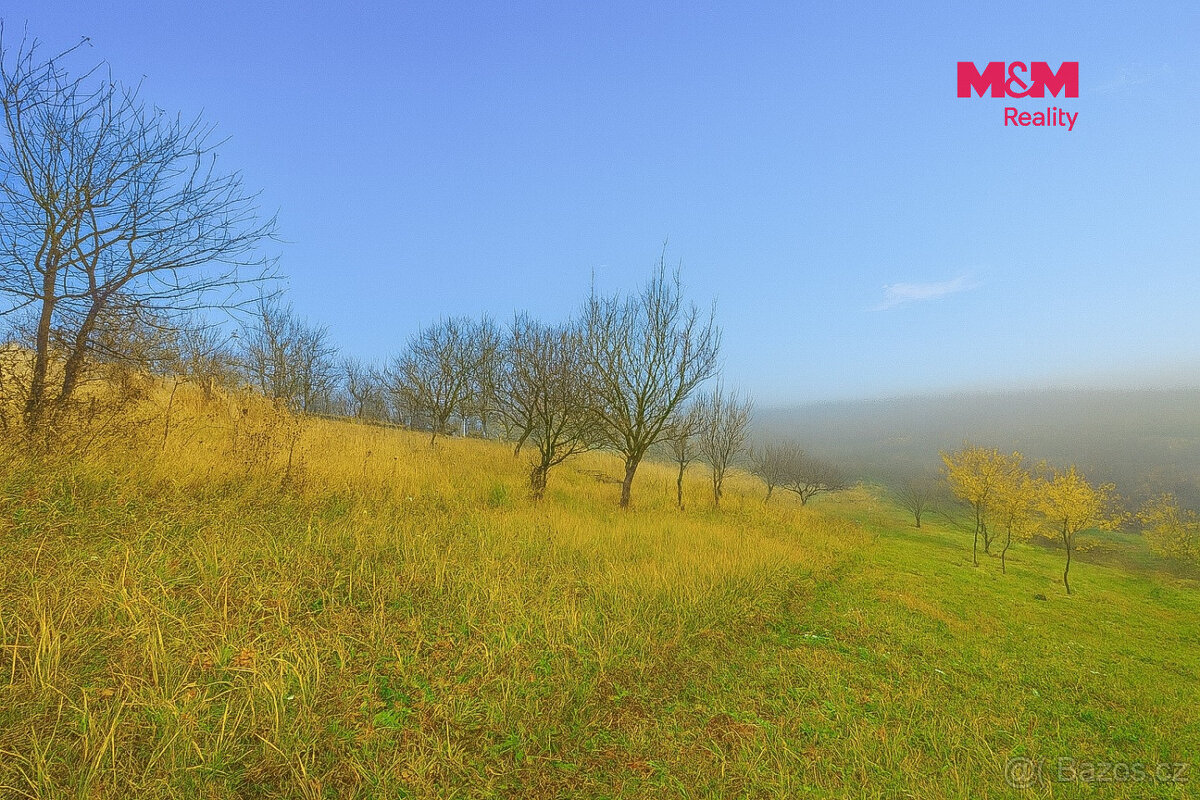 Prodej vinice, 1791 m², Bukovany - 2