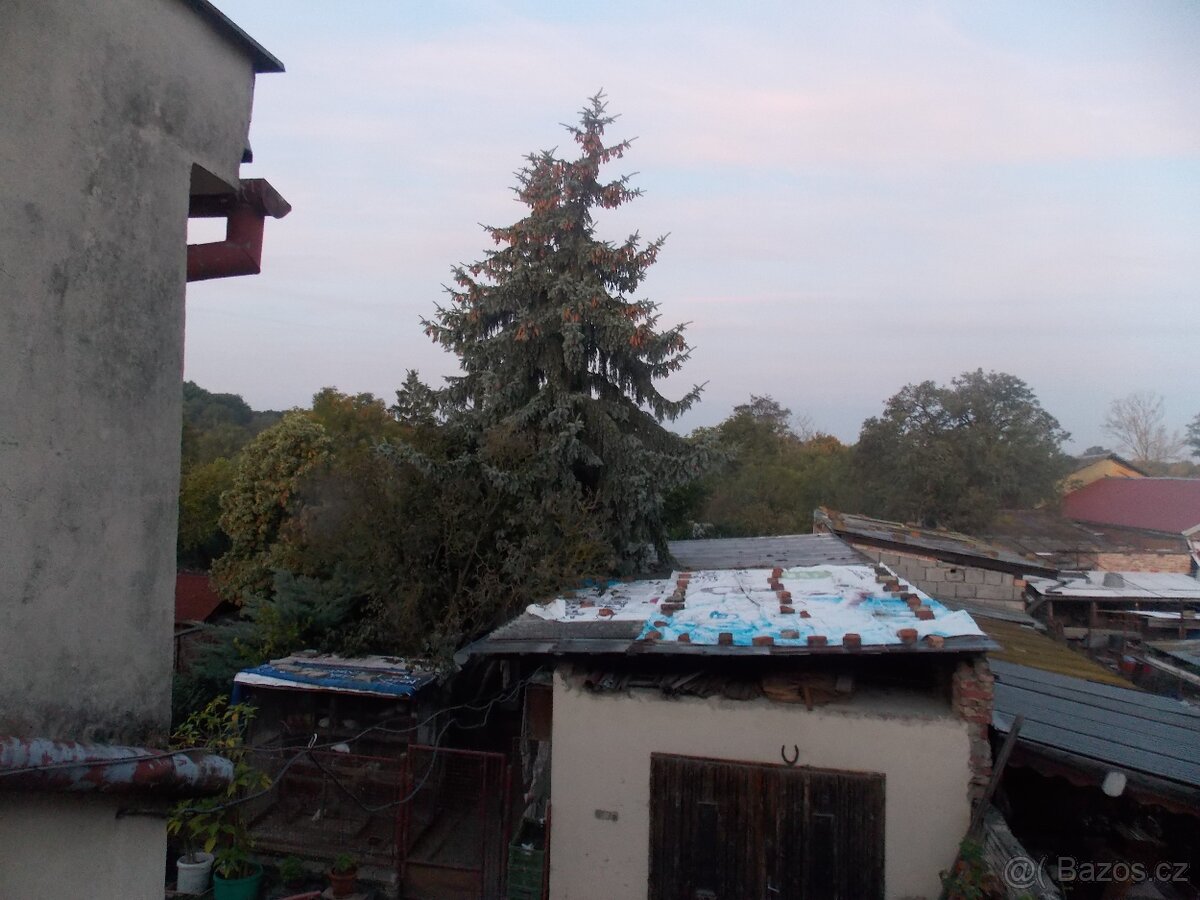 Levně prodám - 2