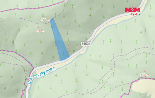 Prodej lesa, 12967 m², Nemile - 2