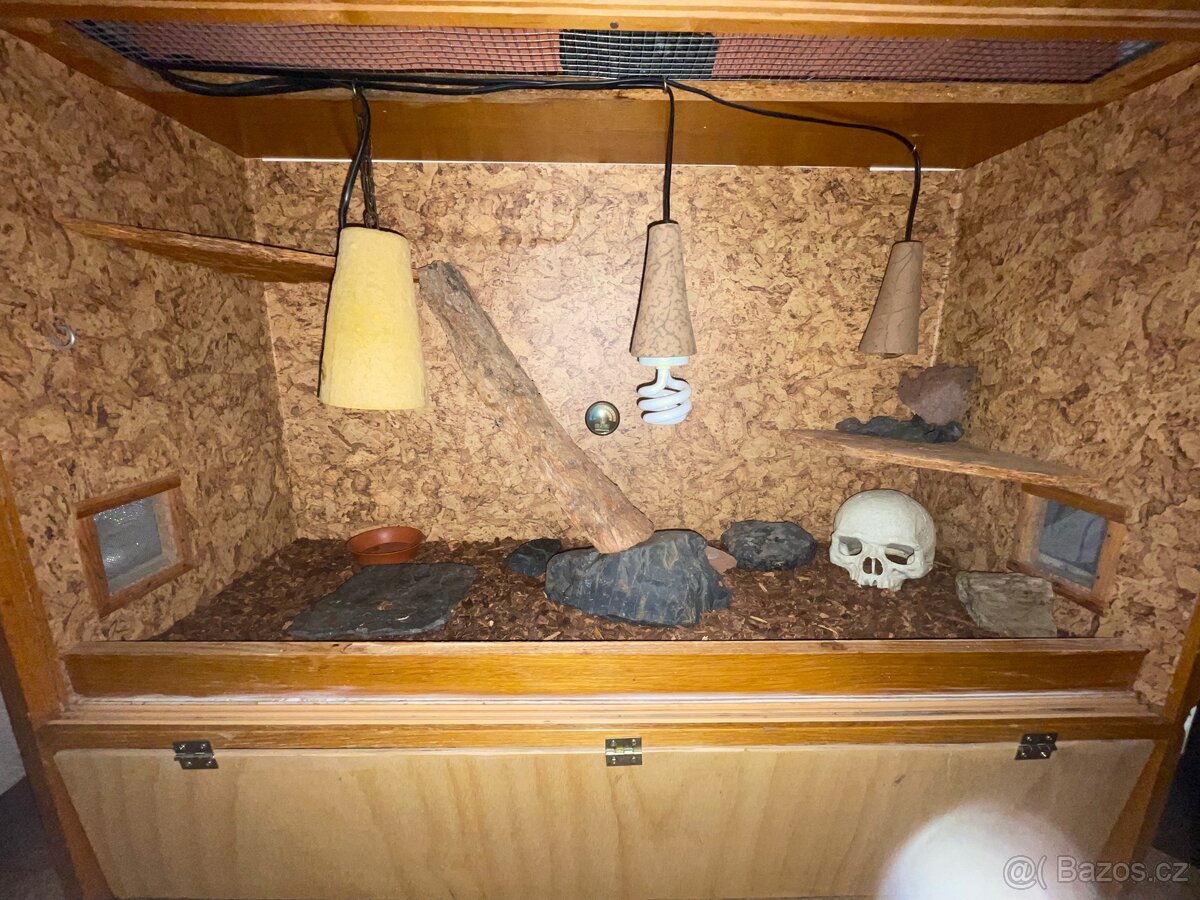 Terariu pro agamu - 2