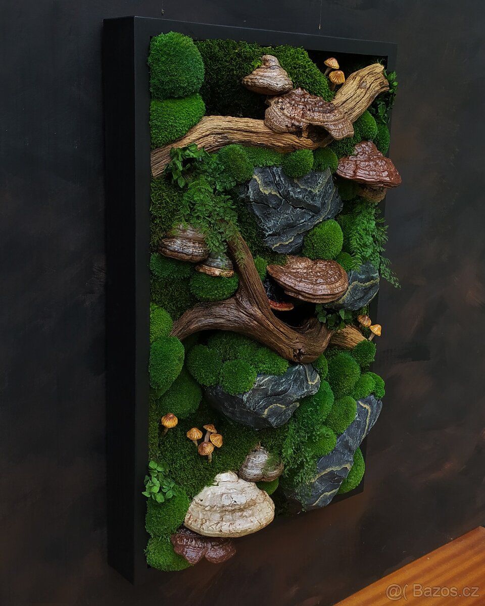 Mechový obraz / obraz ze stabilizovaného mechu - 2