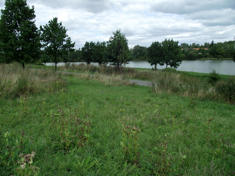 Stavební pozemek 13 700 m² u Hranic na Moravě - 2