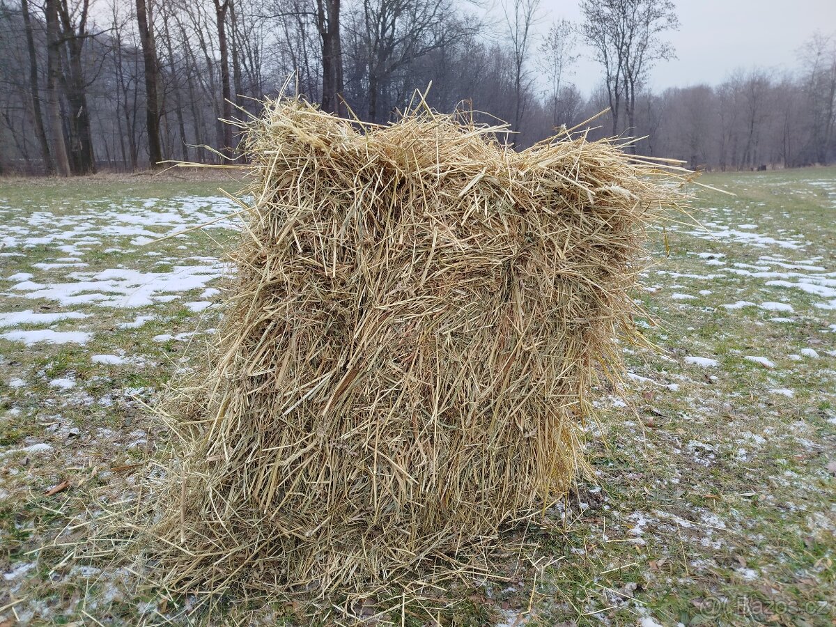 Seno - hranaté balíky - 2