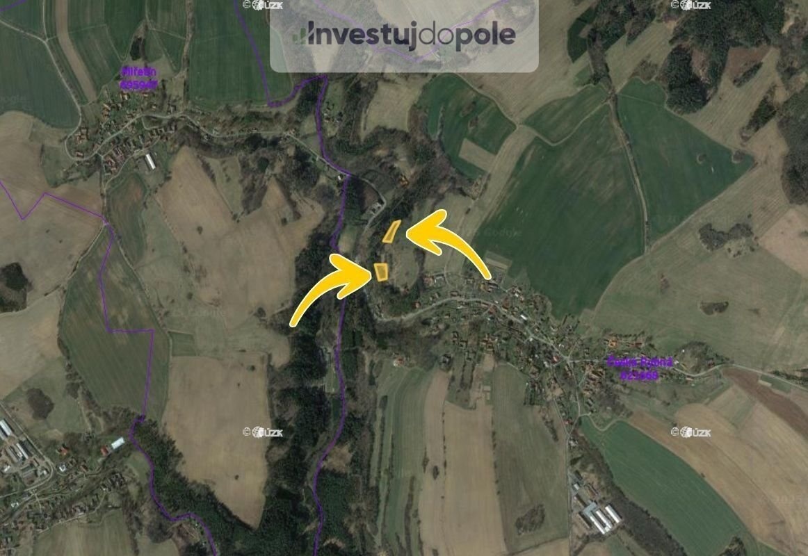 Prodej lesa 3 539 m², Proseč - Česká Rybná - 2